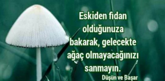 Düşün ve Başar: Kitap özetle ne anlatıyor? Düşün ve Başar Sözleri