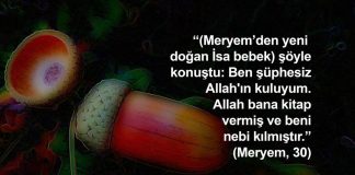 Hz. Meryem nasıl doğum yaptı?