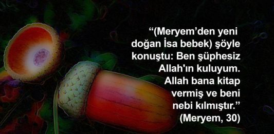 Hz. Meryem nasıl doğum yaptı?