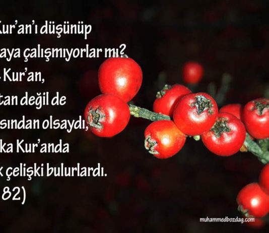 Kuranı anlamak için neler yapmalıyız?