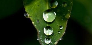 Kötülükleri kınamayacak mıyız? Nereye kadar?