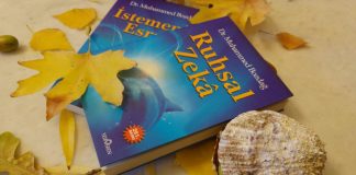 Ruhsal Zeka, okuyucu yorumları Ruhsal Zeka Muhammed Bozdağ