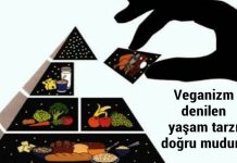 Vejeteryenliğin müslümanlıkla yeri var mı?