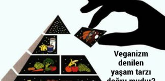 Vejeteryenliğin müslümanlıkla yeri var mı?