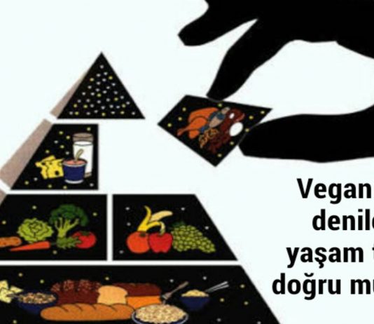 Vejeteryenliğin müslümanlıkla yeri var mı?