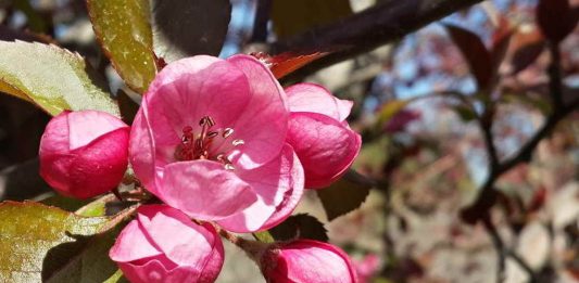 Haram şehvet zevkinden sakınan kurtulur!